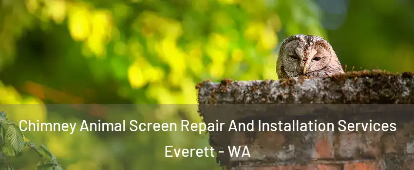 Chimney Animal Screen Repair And Installation Services Everett - WA