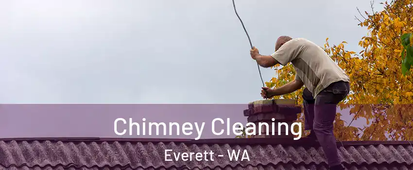 Chimney Cleaning Everett - WA