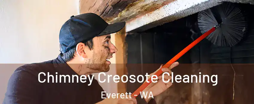 Chimney Creosote Cleaning Everett - WA