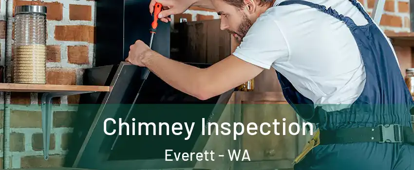 Chimney Inspection Everett - WA