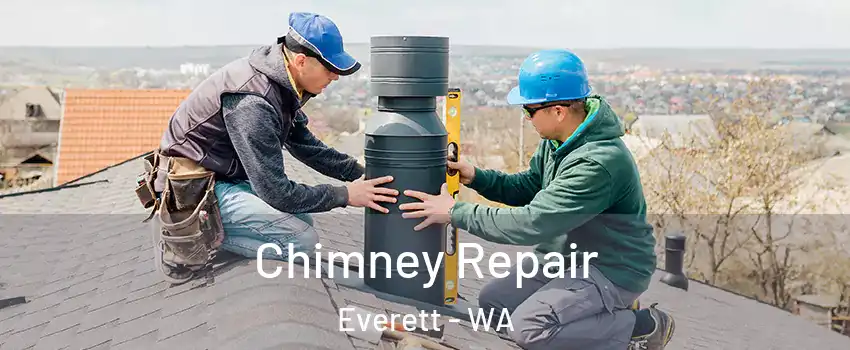 Chimney Repair Everett - WA