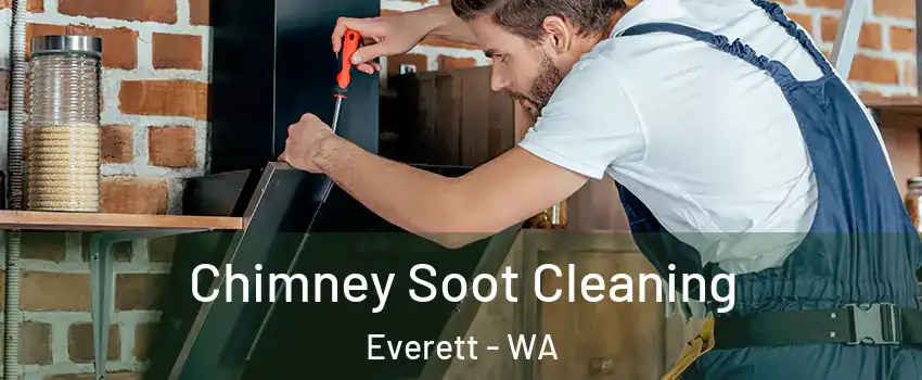 Chimney Soot Cleaning Everett - WA
