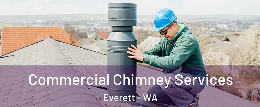 Commercial Chimney Services Everett - WA