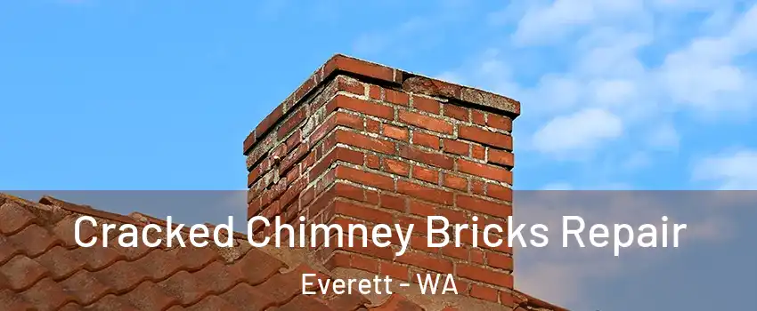 Cracked Chimney Bricks Repair Everett - WA