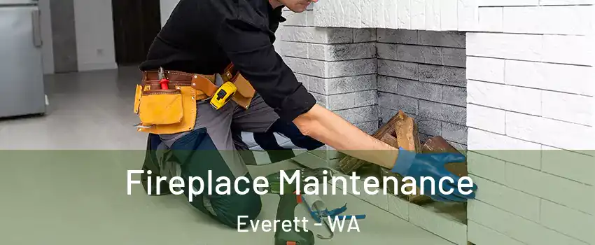 Fireplace Maintenance Everett - WA