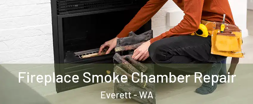 Fireplace Smoke Chamber Repair Everett - WA