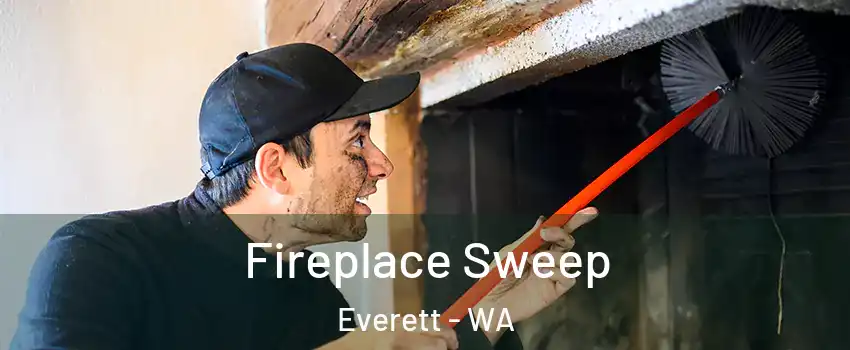 Fireplace Sweep Everett - WA