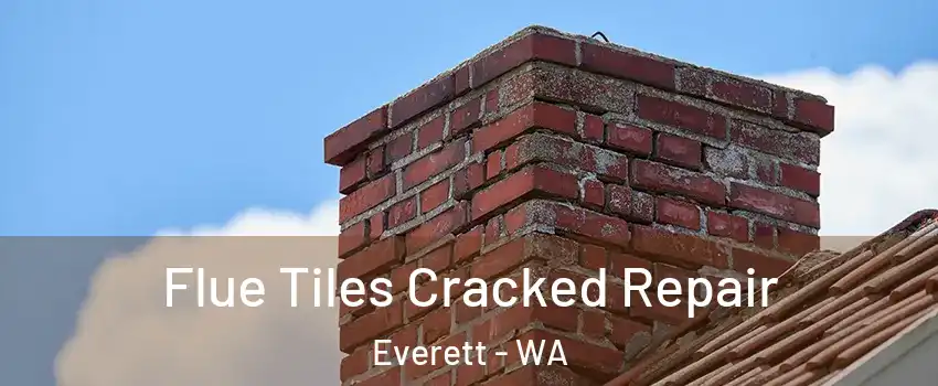 Flue Tiles Cracked Repair Everett - WA