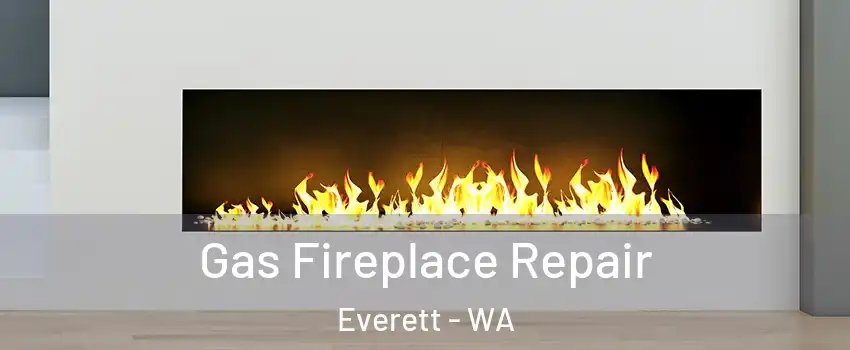 Gas Fireplace Repair Everett - WA