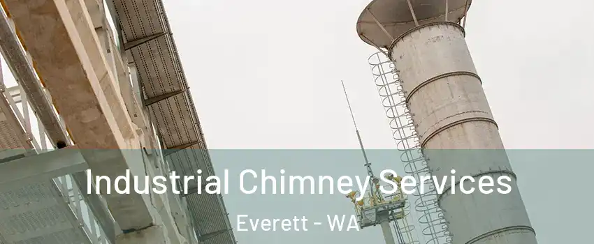 Industrial Chimney Services Everett - WA