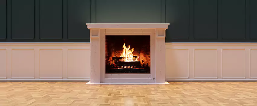 Napoleon Electric Fireplaces Inspection Service in Everett, Washington