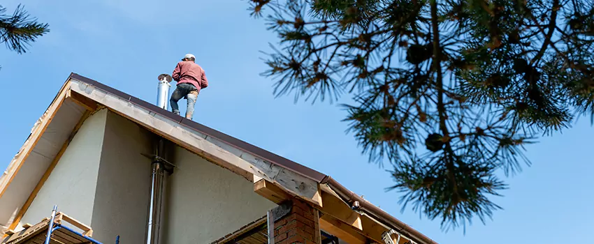 Birds Removal Contractors from Chimney in Everett, WA
