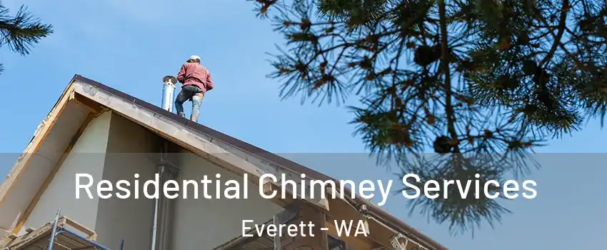 Residential Chimney Services Everett - WA